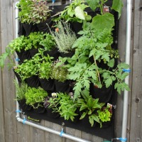 3 ideas para hacer un jardín vertical